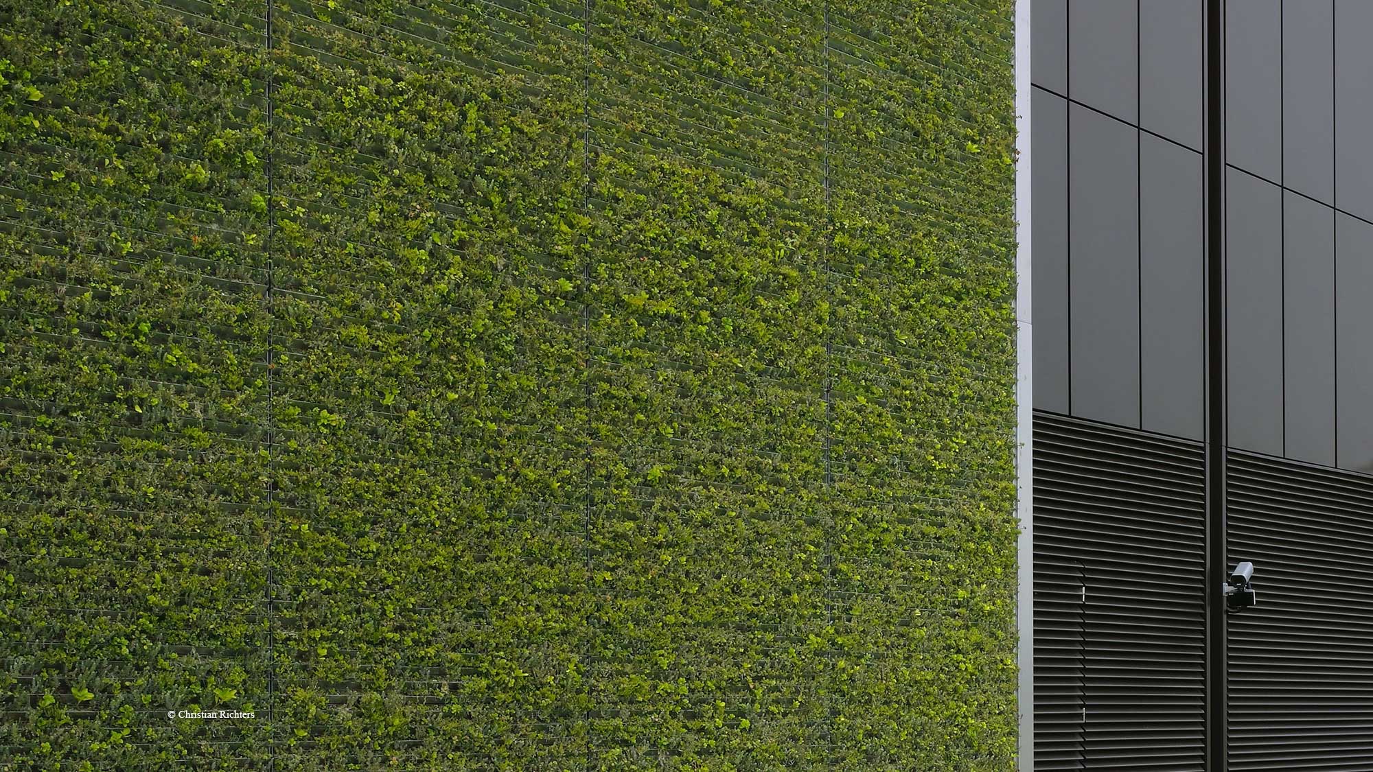 位于法兰克福的花旗集团数据中心的绿色门面